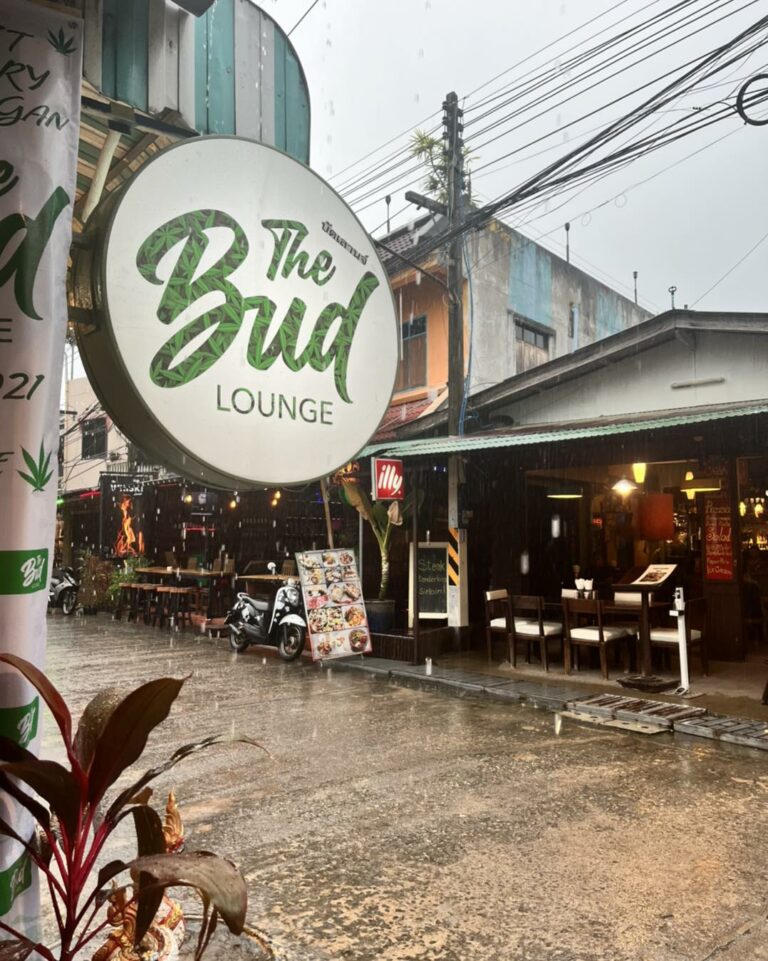 Cannabis Dispensaries In Koh Phangan The Bud Lounge 768x961 