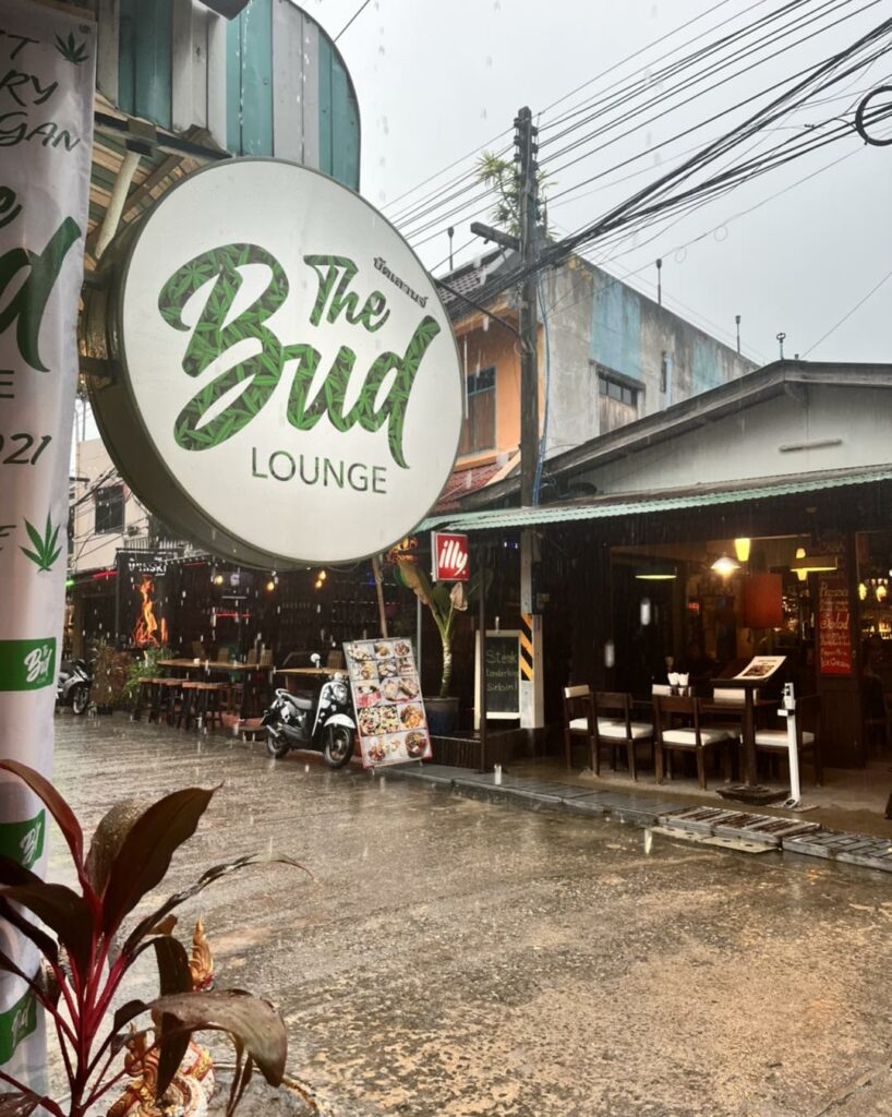 11 TopRated Cannabis Dispensaries in Koh Phangan 2023 Review