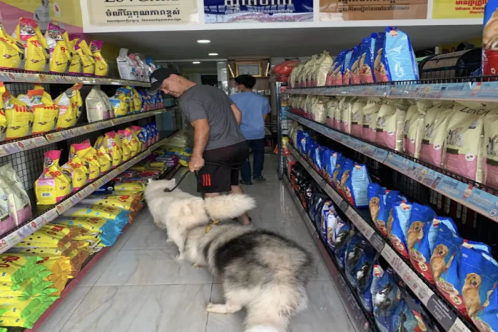 pet shops in chiang mai