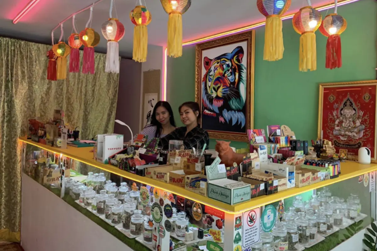Two ladies standing behind the bar counter of Flying Tiger Cannabis Dispensary shop in Chiang Mai, Thailand
