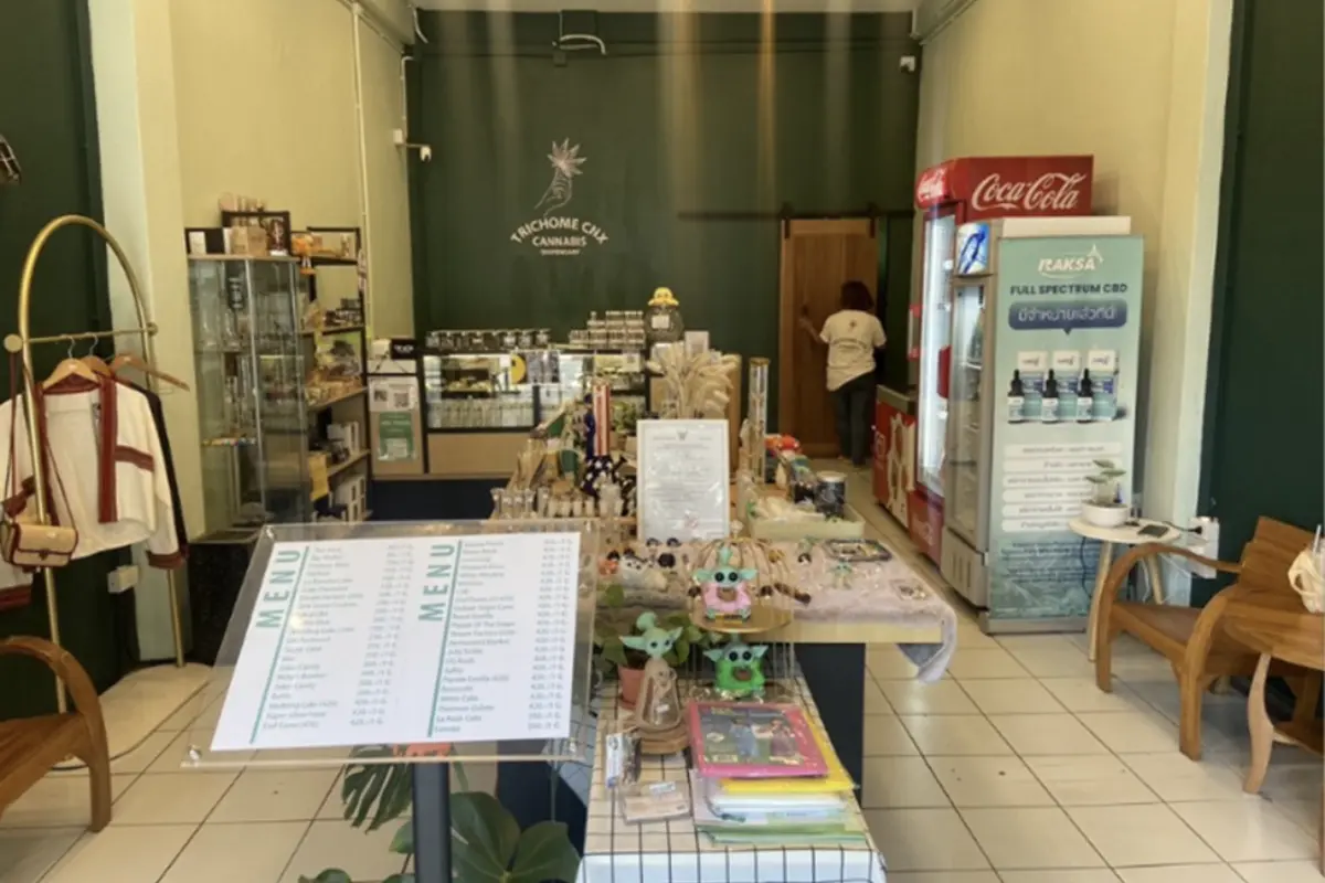 Inside the store of Trichome CNX Cannabis Cafe in Chiang Mai