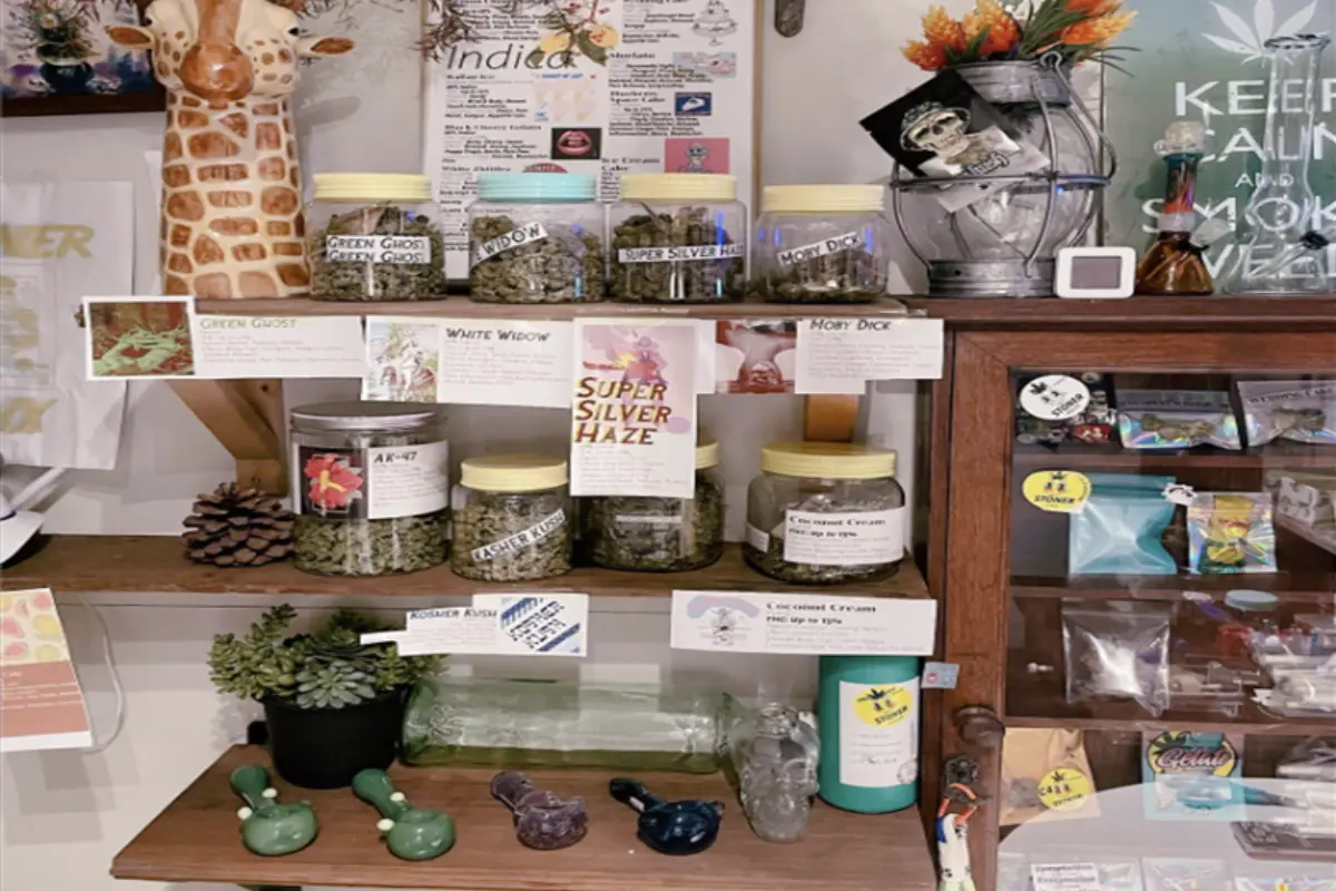 A showcase of various cannabis products and accessories available at Stoner CNX Cannabis Dispensary in Chiang Mai