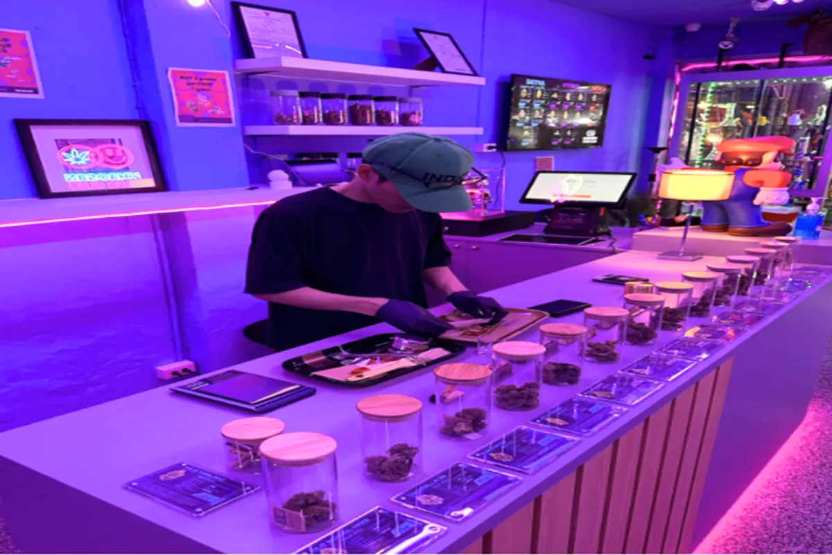 A man wearing a hat, black t-shirt, and gloves is preparing a rolled joint of weeds on top of Khaosan Kush Club’s bar counter
