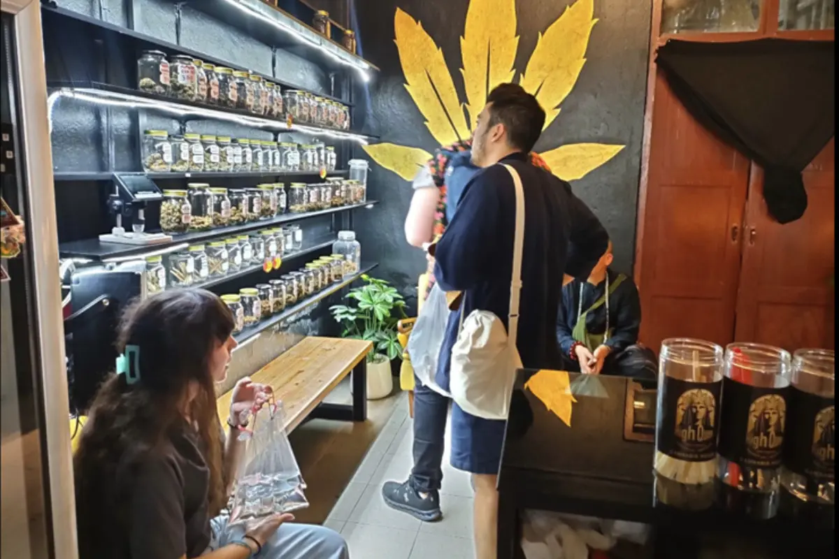 Three customers shopping inside High Queen CNX’s wide selection of weed displayed on the shelf