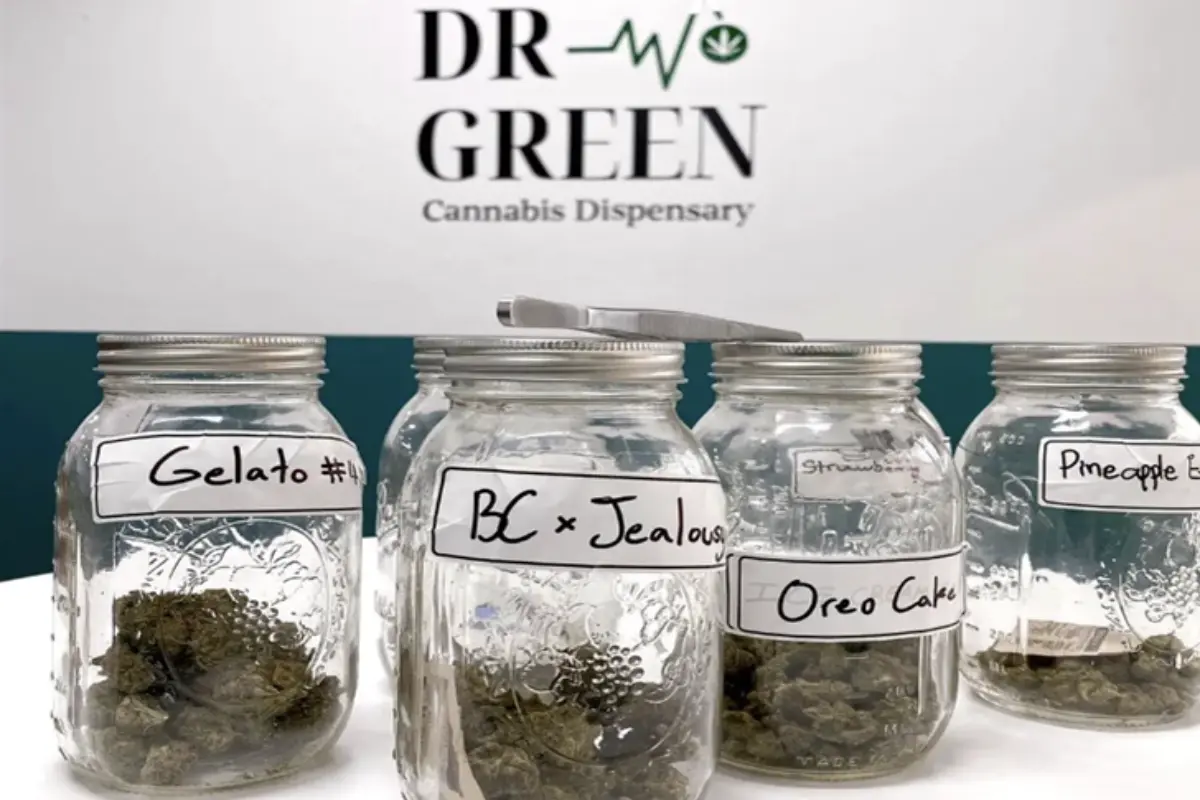 Five clear glass jars containing various weed strains offered by Dr. Green Cannabis Dispensary in Chiang Mai