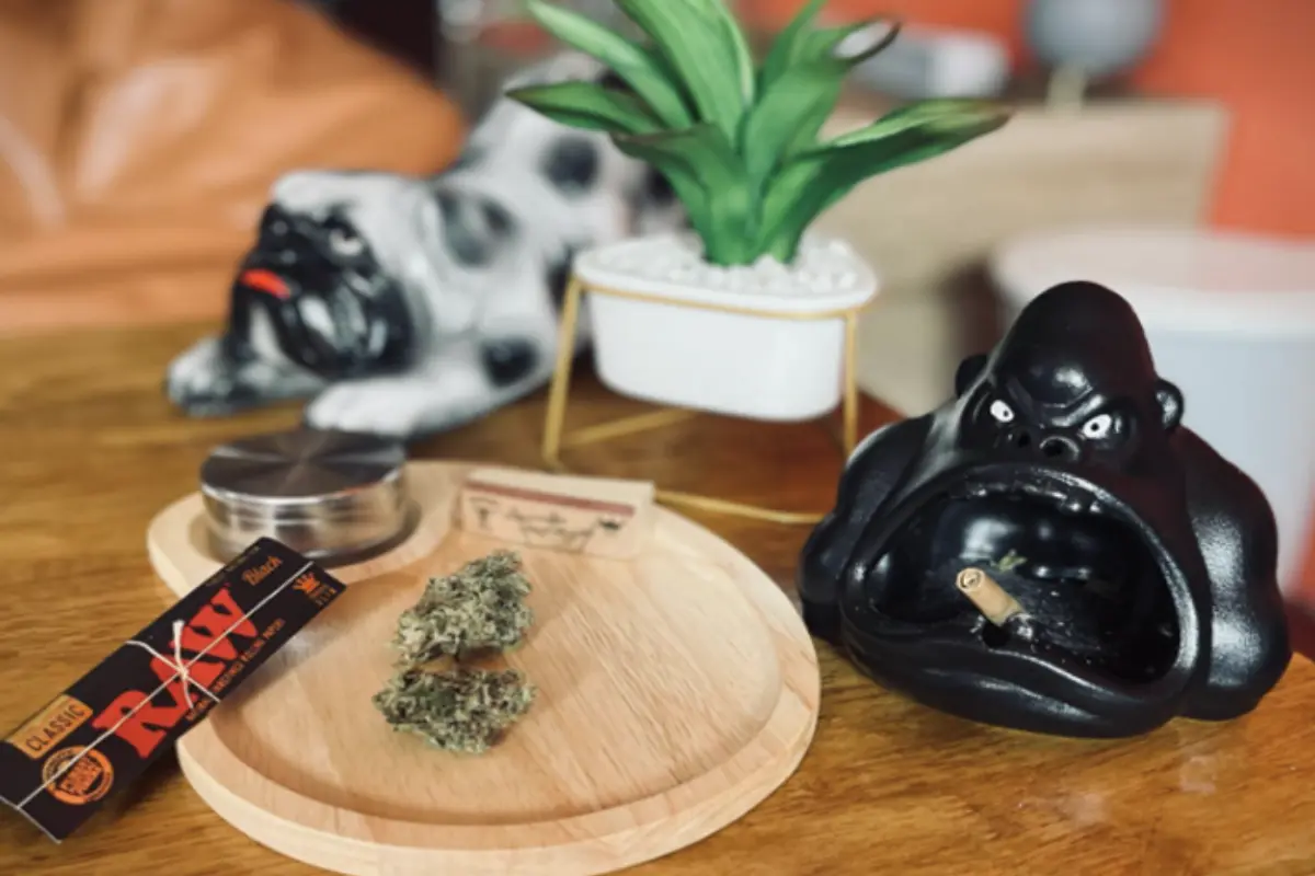 A wooden tray of cannabis buds next to Raw paper joints and a black ceramic gorilla-designed ash tray
