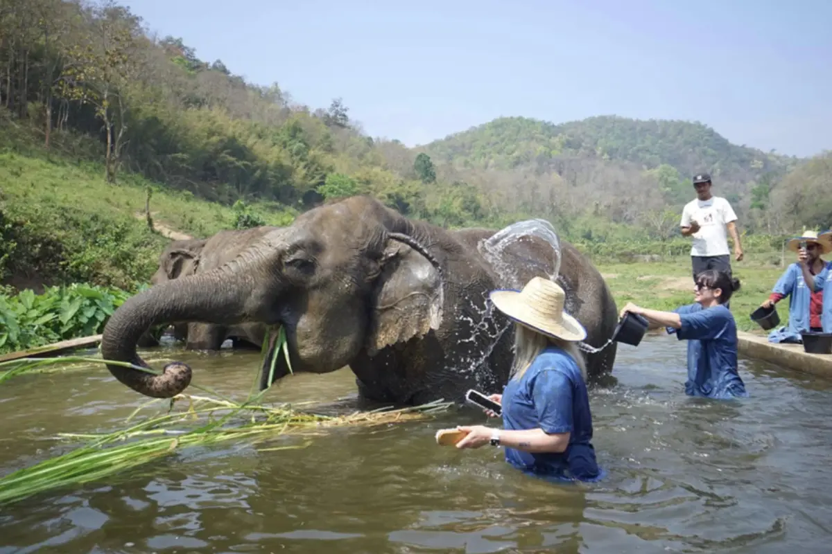 Two female visitors are helping the elephants bathe at the Lanna Kingdom Elephant Sanctuary in Chiang Mai