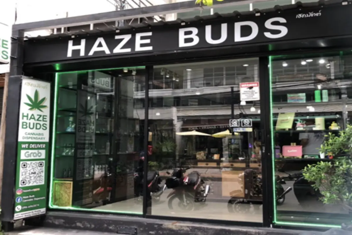 The glass storefront of Haze Buds Cannabis Dispensary in Chiang Mai