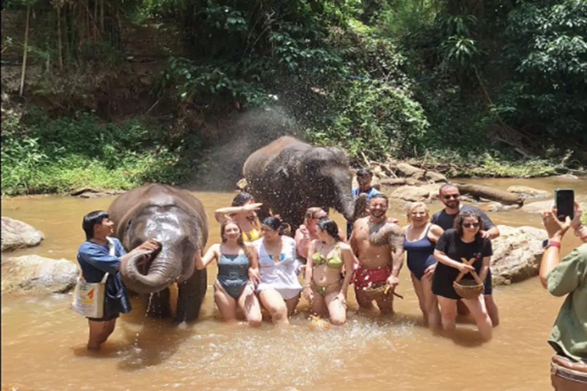 A group of tourists are enjoying bathing with two elephants on the river near Maesa Elephant Camp in Chiang Mai