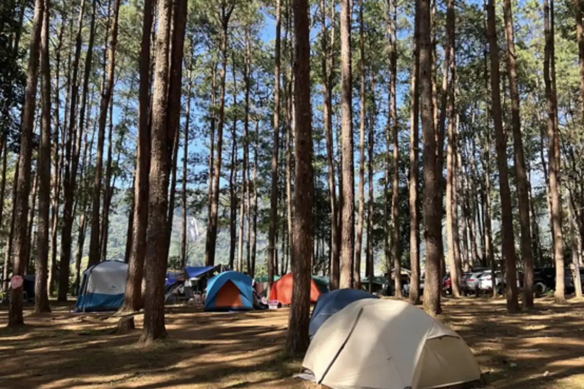 A view of the camping tents at the Doi Inthanon National Park in Chiang Mai
