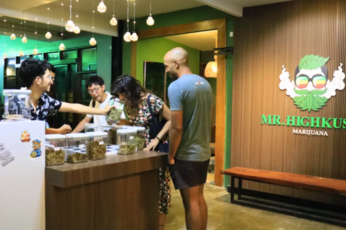 Three customers are sniffing the marijuana products offered at Mr. Hingkush weed shop in Koh Lipe