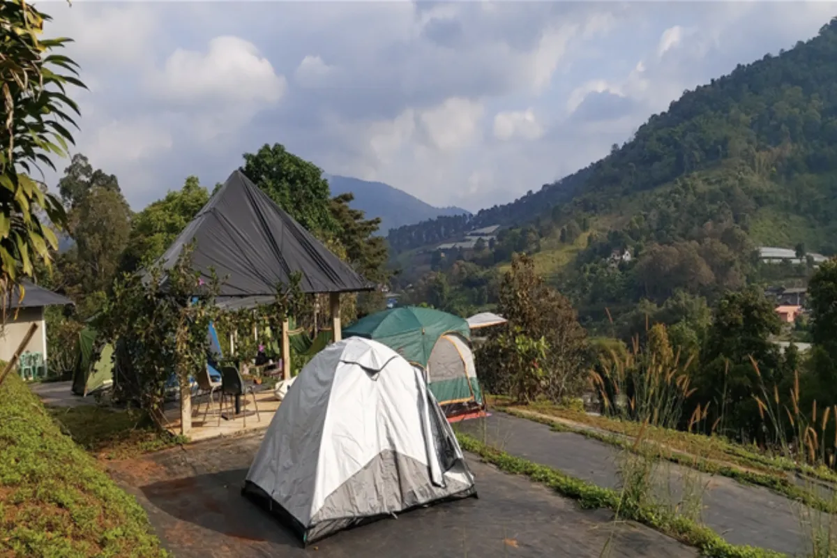 Two tents set up at the Cinnamon Hill Camping ground in Chiang Mai